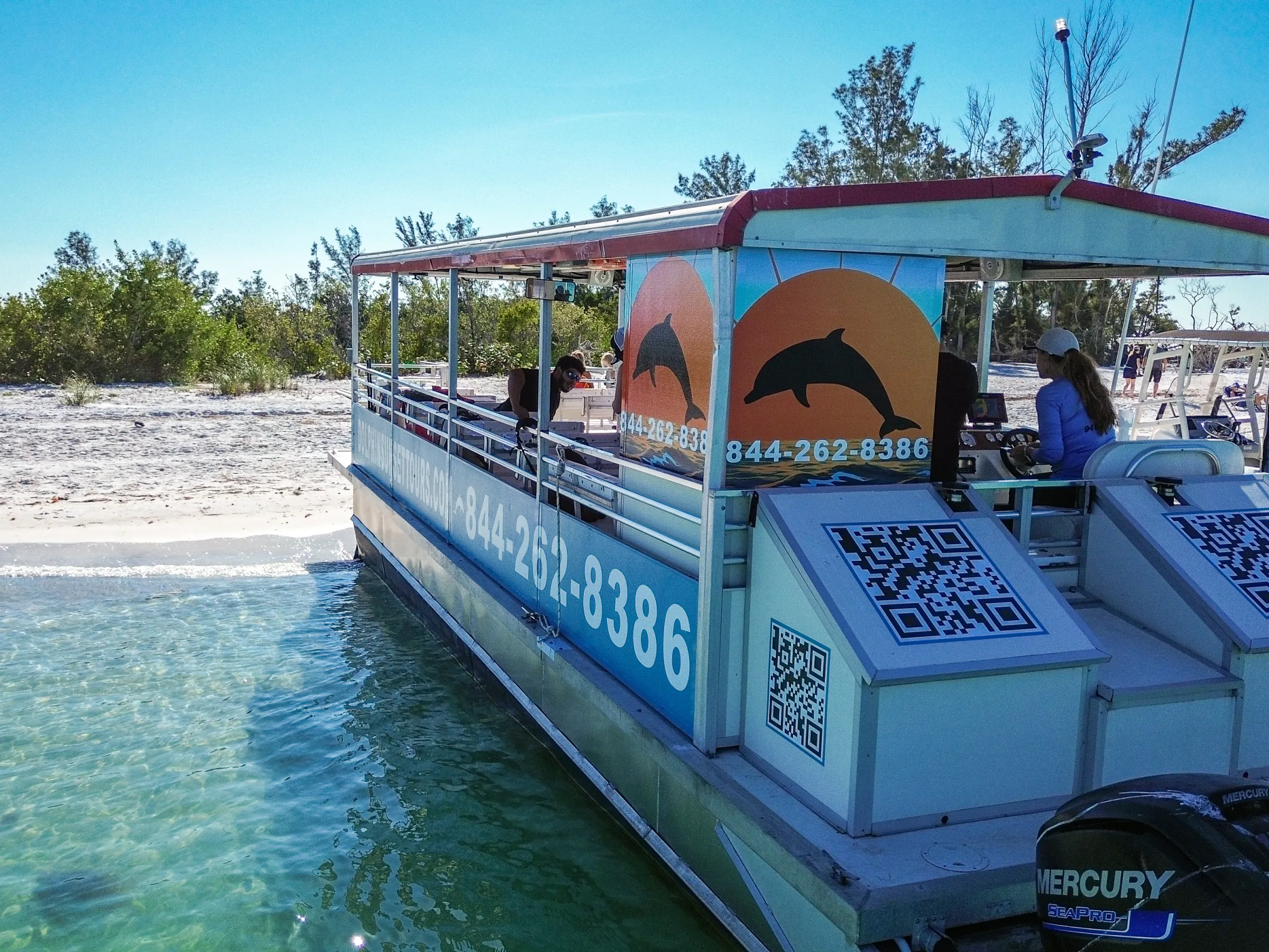 Tour boat with dolphin logo and QR codes docked on a sandy beach.